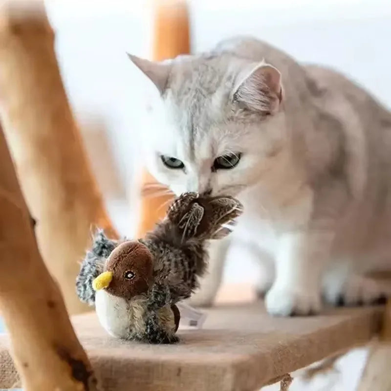 Chirpy Melody Cat Bird Toy